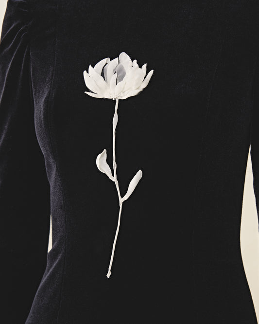 Test Dress