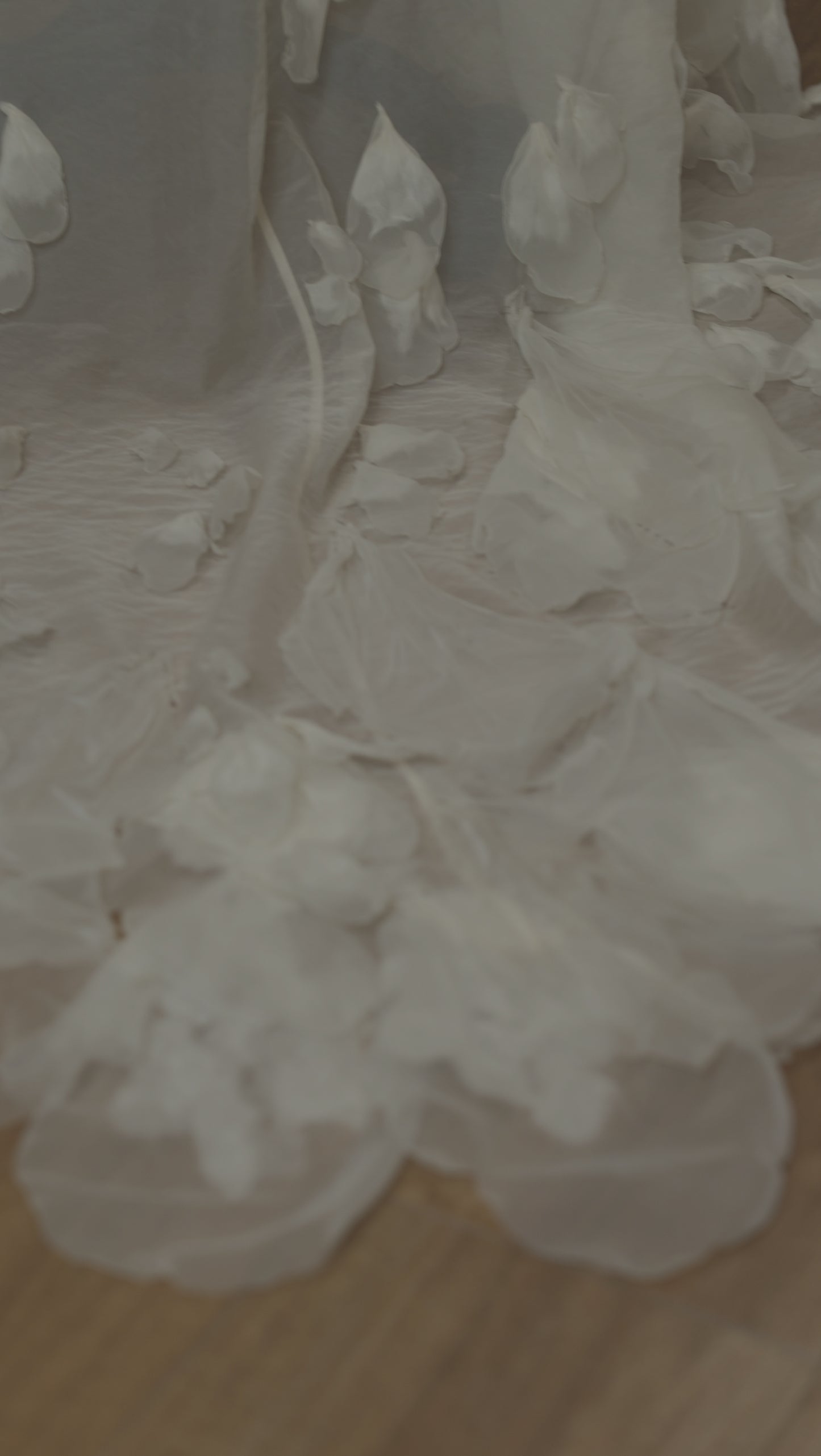 花守  - HANAMORI -